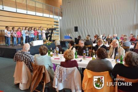 Srečanje starejših Ljutomer8